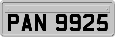 PAN9925