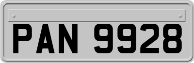 PAN9928