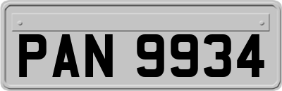 PAN9934