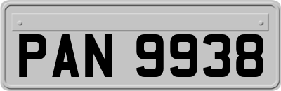 PAN9938
