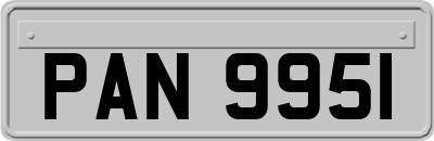 PAN9951