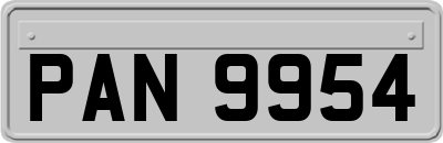 PAN9954