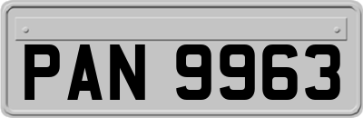 PAN9963