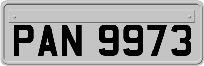 PAN9973
