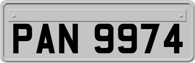 PAN9974