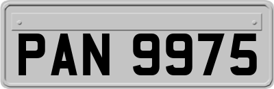 PAN9975