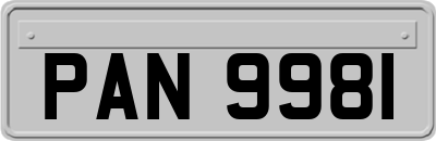 PAN9981