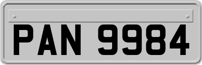 PAN9984
