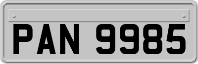 PAN9985
