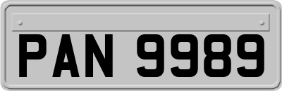 PAN9989