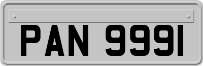 PAN9991