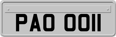 PAO0011
