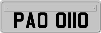 PAO0110