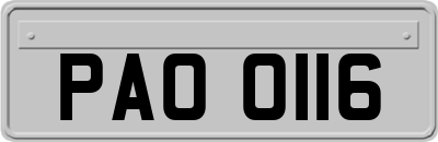 PAO0116
