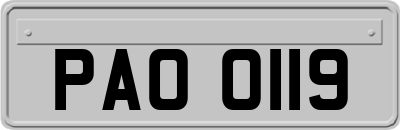 PAO0119