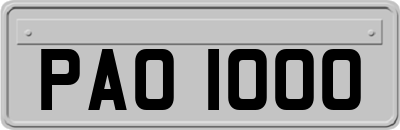 PAO1000