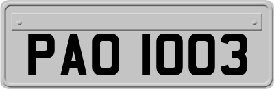 PAO1003