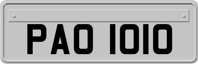 PAO1010