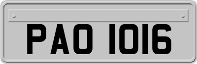 PAO1016
