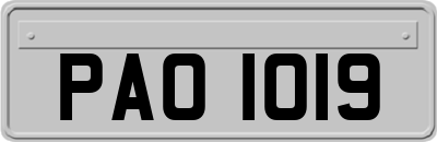PAO1019