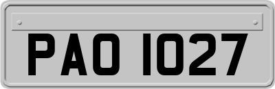 PAO1027