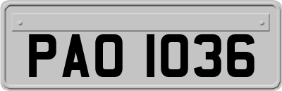 PAO1036
