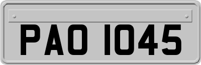 PAO1045