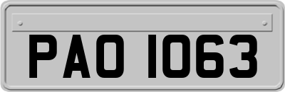 PAO1063