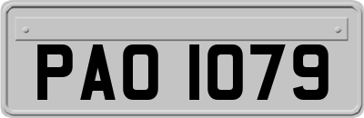 PAO1079