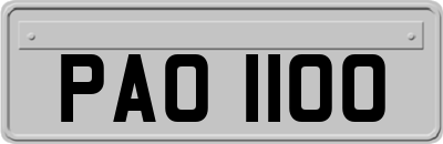 PAO1100