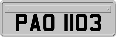 PAO1103