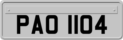 PAO1104