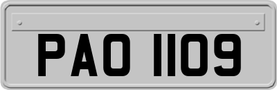 PAO1109