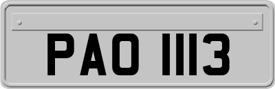 PAO1113