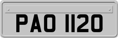 PAO1120