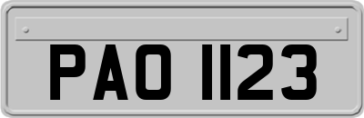 PAO1123