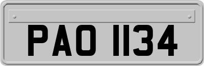 PAO1134