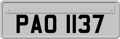 PAO1137