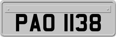PAO1138