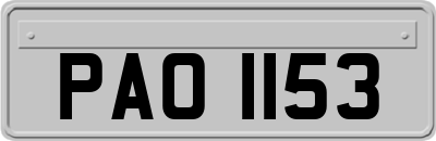PAO1153