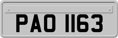 PAO1163