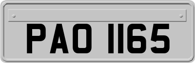 PAO1165