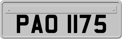 PAO1175