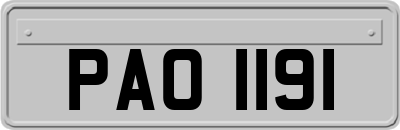 PAO1191