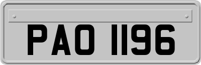 PAO1196