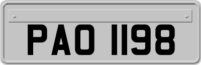 PAO1198