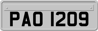 PAO1209