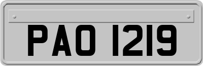 PAO1219