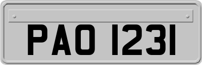 PAO1231