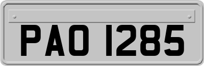 PAO1285